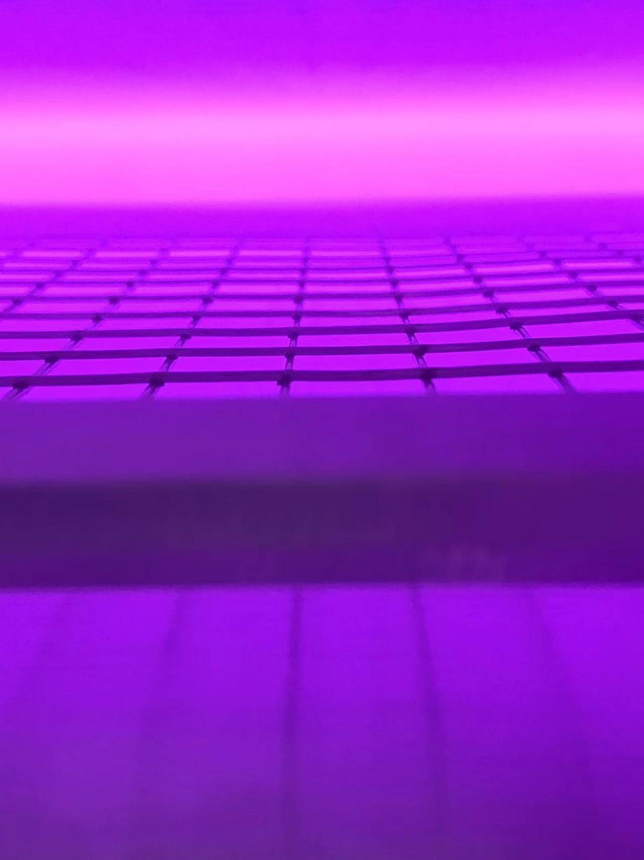 真空等離子清洗機
