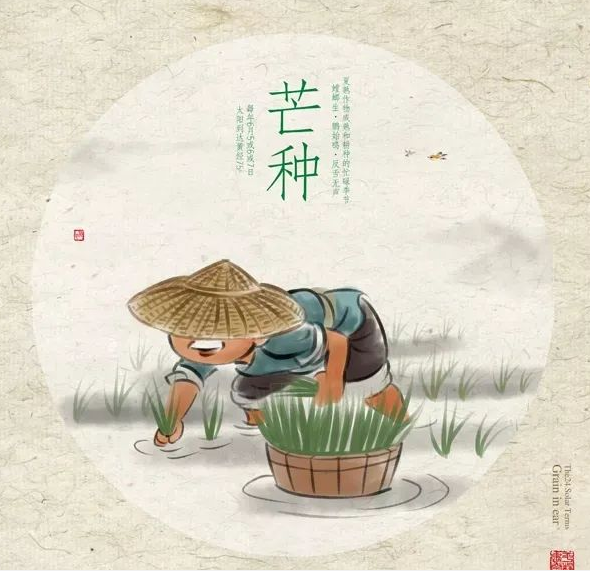 芒種時(shí)節(jié)，習(xí)俗不“盲”-普樂斯等離子清洗機(jī)