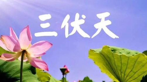 入伏，或開啟蒸煮模式-普樂斯等離子清洗機(jī)