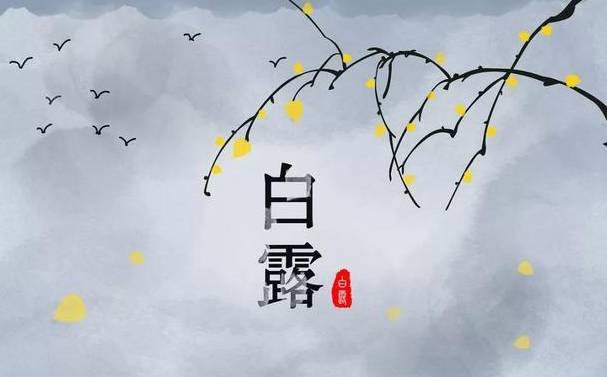 今迎白露，盛夏退場(chǎng)-普樂(lè)斯等離子清洗機(jī)