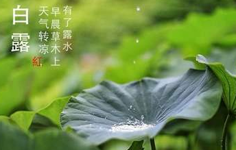 今迎白露，盛夏退場(chǎng)-普樂(lè)斯等離子清洗機(jī)