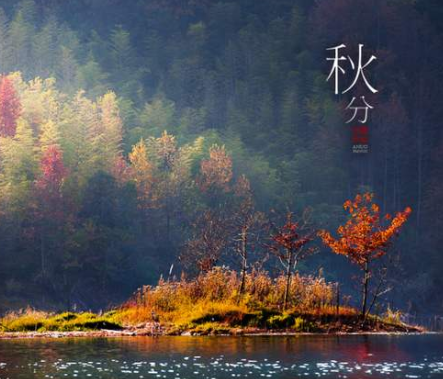 2020秋分-普樂斯等離子清洗機(jī)